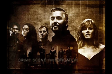 CSI   CSI Wallpapers (1324041)   Fanpop
