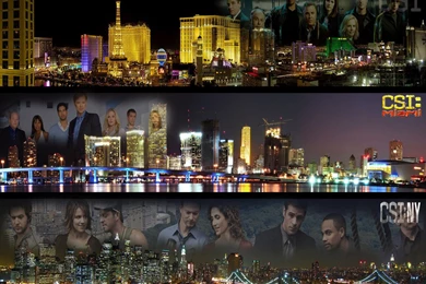 CSI Trilogy Skylines (Regular)   All CSI's Wallpapers (19901650 ...