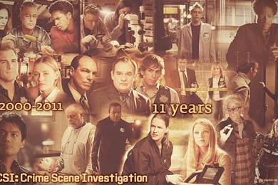 CSIWallpapers   CSI Wallpapers (30505239)   Fanpop