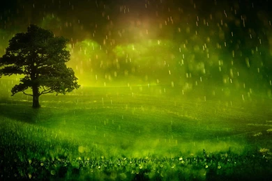 Rain HD Wallpaper, Rain Backrounds, New Wallpapers