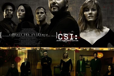 CSI   CSI Wallpapers (106753)   Fanpop