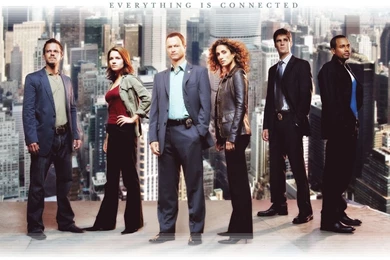 CSI:NY   CSI:NY Wallpapers (876243)   Fanpop