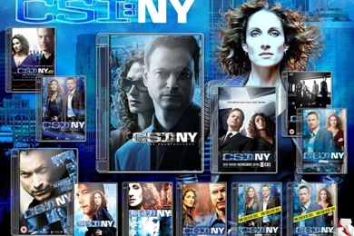 Csi New York Wallpapers   CSI:NY Wallpapers (20466455)   Fanpop