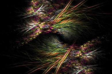 Amazing Abstract Wallpapers   120249