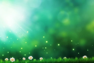 Widescreen Images, Amazing Pictures, Lovely Wallpapers, Cool ...