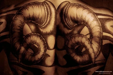 Angel Dead Tattoo Art Wallpapers