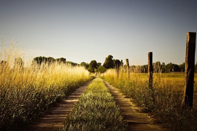 2880x1800 Summer Country Road Wallpapers