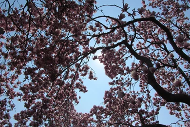 2880x1800 HD Wallpapers