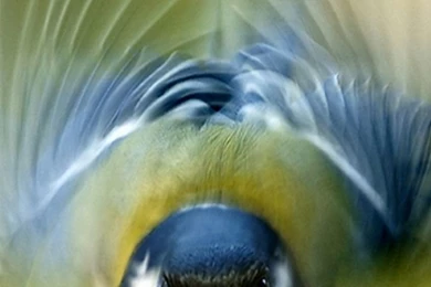 Galaxy S3 Wallpapers HD   Beautiful, Stunning Wallpapers