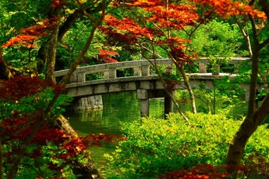 Galaxy Tab Wallpapers HD  Nature   Beautiful, Stunning Wallpapers