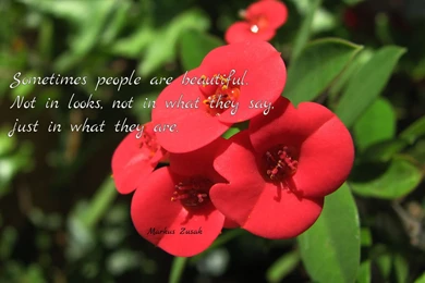 Beautiful wallpapers quotes life 1.jpg