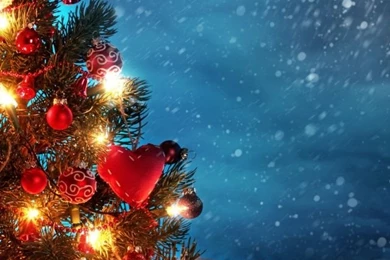 640x960 Christmas Tree Outside Iphone 4 Wallpapers