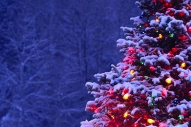 Iphone 4 Christmas Wallpapers