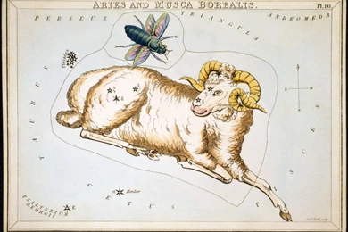 Aries On The Star Chart Wallpapers And Images   Wallpapers ...