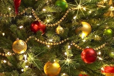 1 iPhone 4 wallpaper Merry Christmas_140.JPG