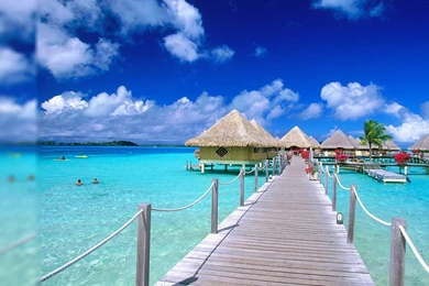 Nice_free _tropical _wallpaper.jpg