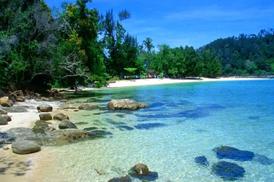 Tropical Desktop Wallpapers F7U   Savewallpaper.com