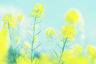 28 Beautiful HD Wallpapers You`ve Seen On WebUpd8 ~ Web Upd8 ...