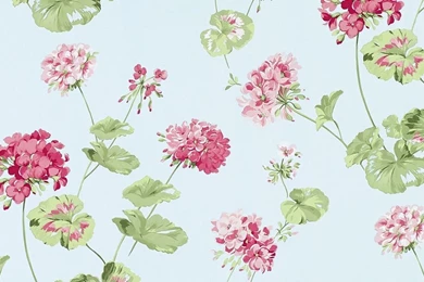 Geranium Pale Topaz Green Floral Wallpapers At Laura Ashley