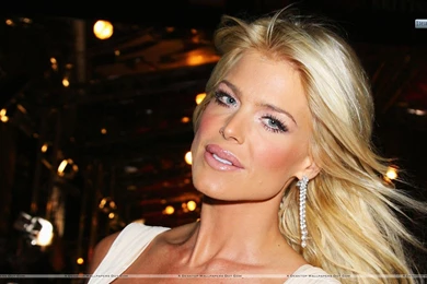 Perfect People   Victoria Silvstedt Pictures