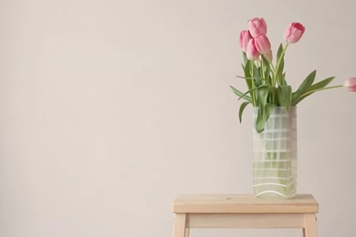 Yellow And Pink Tulips   Wallpaper.