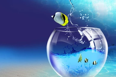 Blue Backgrounds Wallpaper. Power Point Creative Picture ...