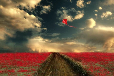 Clouds Flowers Deviantart Kite Wallpapers