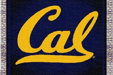 California_UC_Berkeley_Golden_Bears_NCAA_College_Focus_48_x_60_Triple_Woven_Jacquard_Throw.jpg