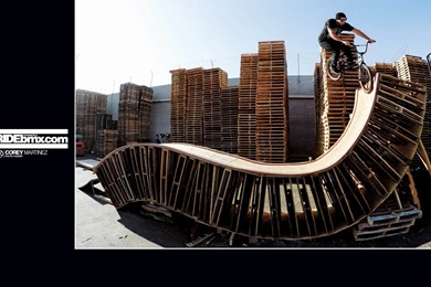 BMX Wallpapers.?   General BMX Talk   BMX Forums / Message Boards ...