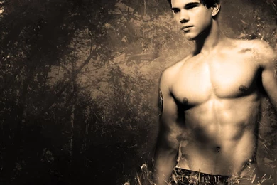 Gallery For   Taylor Lautner Shirt Off Wallpapers