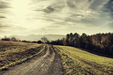 Road In The Field Wallpapers   Nature Wallpapers