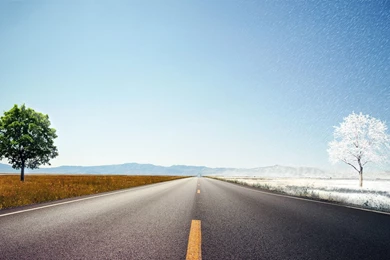 Sharing The Road Wallpapers And Images   Wallpapers, Pictures, Photos