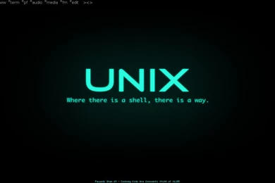 My FreeBSD 10 With DWM 6.0   Final Setup By Ipodpunker On DeviantArt