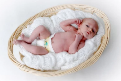 Desktop Wallpapers » Babies Backgrounds » Cute Baby In A Basket ...