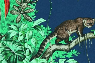 HERMES "Toucans & Parrots" Wallpapers Available Via Dedar Showrooms ...