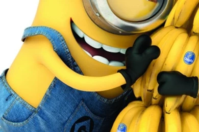 Minions hd wallpaper 9 1024x600 2xlq8nrjztd22t05imkzre.jpg