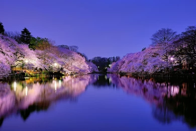 2560x1600 Japan Wallpapers HD, Desktop Backgrounds 2560x1600