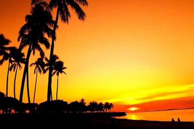 Beach scene wallpaper sunset.jpg