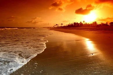 Sunrise Palms Sea Beautiful Nature Landscape Water Sky Clouds ...