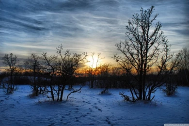 Winter Sunset Scene HD Desktop Wallpapers : Widescreen : High ...