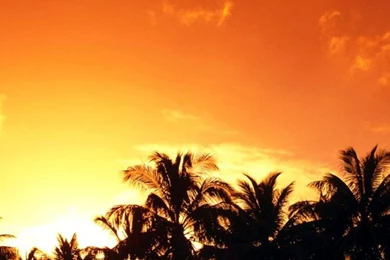 Beautiful Sunset Scene S4 Wallpapers