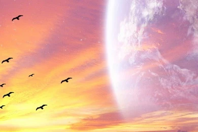 Sunset iPhone 6 Wallpapers