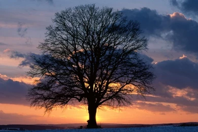 Wallpapers: Sunset Wallpapers