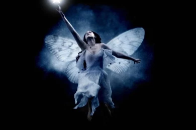 Trololo Blogg: Fairy Wallpapers