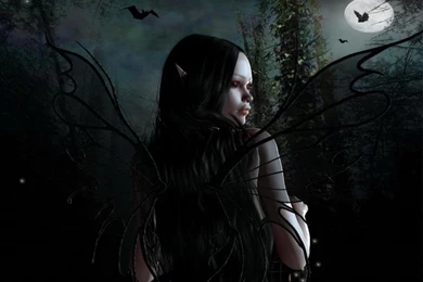 Dark Fairy trees Bats HD Wallpapers.jpg
