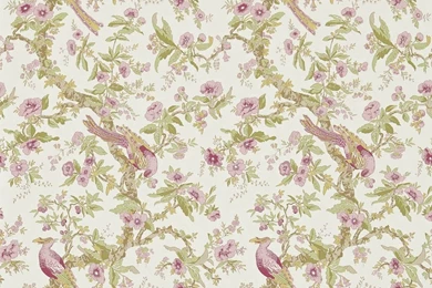 Chintz Wallpapers By Zoffany