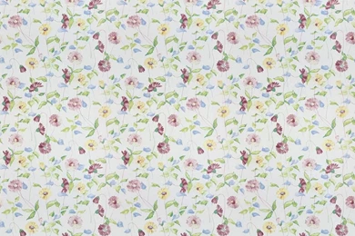 Daisy Chain Chintz By Prestigious : Wallpapers Direct