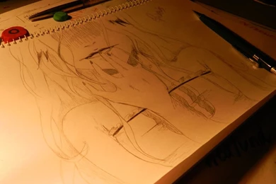 Crazy Anime Girl By LifeEvans On DeviantArt