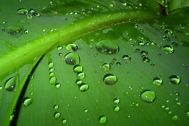 Wallpapers For Window   Wallpapers Cave