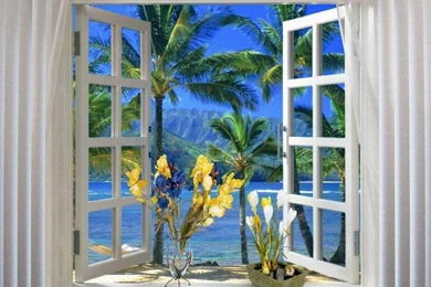 Wallpapers Window   Wallpapers Cave